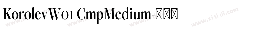 KorolevW01 CmpMedium字体转换